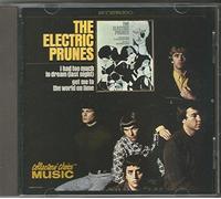 Electric Prunes - I Had Too Much To Dream