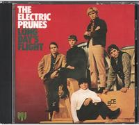 Electric Prunes - Long day's flight