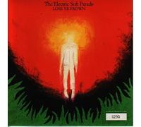 Electric Soft Parade - Lose YR Frown [Import]