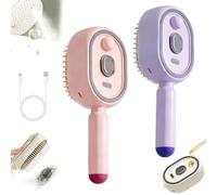 Electric Spray Air Cushion Massage Comb, 2026 Upgrade Enhanced Fog Coverage and Longer, Electric Steam Brushs for Hair, Rechargeable Steam Hair Straightener(A-2Pcs)