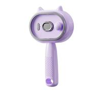 Electric Spray Hair Brush, Rechargeable Nourishing Straightener Comb with Steam | ABS, Type-C USB, Portable | Anti-Frizz Hair Styling for Travel Wedding Salon Spa Festival, Daily Grooming