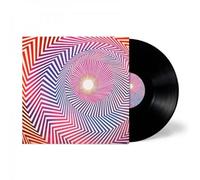 Harriet Tubman & Georgia Anne Muldrow – Electrical Fields of Love – Vinyle 12"