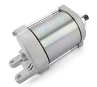 Électrique Démarreurs Démarreur pour Can pour Am DS250 DS250 2006 2007 2008 2009 2010 2011 2012 2023 2014-2024 S31200-RB1-000 S31200RB1000