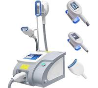 Électrique Geler Minceur Machine Cryolipolyse Instrument De Lipolyse Machine Avec 3 Poignées Congelé Éclater Graisse Instrument Minceur Pour Levage de Visage Amincissant le Corps