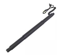 Électrique Hayon D'actionneur Support Hayon Électrique Arrière Voiture Pour BMW X6 E71 2007-2014 51244887653 51247332697 Compartiment À Bagages Ressort Pneumatique(La gauche)