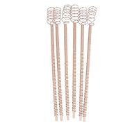 Electro Culture Lot De 6 Piquets En Fil De Cuivre Pour Plantes D'électroculture De 30,5 Cm En Bois Naturel Enveloppés D'antennes De Jardinage En Bobine De Cuivre Pur Pour la Culture De Plantes De Jard