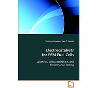 Electrocatalysts For Pem Fuel Cells: Synthesis, Characterization, And Performance Testing