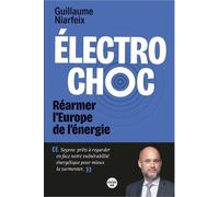 Electrochoc ! - Réarmer L'europe De L'énergie