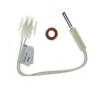 Electrode D Allumage - Ferroli : 39810640