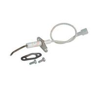 Electrode d'ionisation talia green 30 hybrid,, ref. 60000867