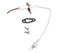 Électrode Ionisation - 60000867-01