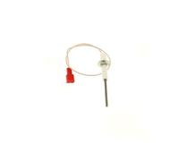 Buderus Ionisation Sieger 7100238 avec câble et bouchon