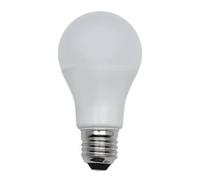 ElectroDH Ampoule LED E27 24 V 10 W A60 Blanc froid 6500 K 81,212/24 V/jour