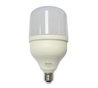 ElectroDH Ampoule LED E27 30 W Lumière Dia 6500 K 81.795/n/30/jour