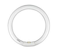 ElectroDH Tube fluorescent circulaire trifósforo T9 32 W