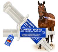 Electrolytes Cheval Pâte vitaminée pour Chevaux I Vitamine b Complexe Cheval I Electrolytes pour Chevaux Sodium Potassium Magnésium Cheval Nourriture minérale Chevaux après diarrhée Sels minéraux 3pc