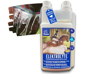 Electrolytes Liquid b12 I Electrolytes chevaux Minéraux Vitamine B12 Oligo-éléments I Sels de sodium Magnésium cheval I Electrolytes Diarrhée Fièvre Ecoulement Transpiration I Sels minéraux cheval 1L