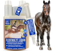 Électrolytes Liquide + pâte I Électrolytes Cheval Minéraux Vitamine B12 Oligo-éléments I Sels de Sodium Magnésium I Diarrhée Ecoulements Transpiration I Sels minéraux 1L 30ml