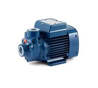 Électropompe Périphérique Hp 0,50 kW 0,37 230 V Pkm60 Pedrollo