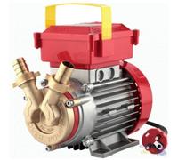 ÉLECTROPOMPE Pour Transfert Mm 40 HP 1,0