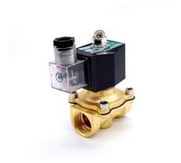 Électrovanne 2T-15 1/2 normalement fermée 220V AC for gaz propane (Size : BSP, Color : 2T15)