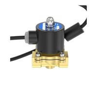 Électrovanne 2W normalement fermée, interrupteur en cuivre, vanne de commande 24V/220V, 2, 3, 4 ou 6 points, entrée d'eau 1 pouce(6 minutes 220V)