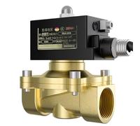 Électrovanne antidéflagrante en laiton normalement fermé Filetage femelle Gaz naturel Gaz de charbon IICT4 Anti-déflagrant Grade 12 V 24 V 220 V (240 VAC_Normalement fermé)