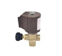 Électrovanne compatible avec les chaudières à eau chaude à gaz et à huile(DC24V)