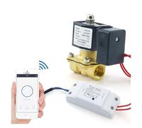Électrovanne d'eau intelligente WiFi Tuya à économie d'énergie avec minuterie Bluetooth for robinet de jardin(3/4")