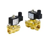 Électrovanne électrique en laiton normalement fermée avec joint NBR/FKM DN15 DN20 DN25 12 V/24 V/220 V for eau, air, pétrole, gaz(DN25,FKM SEAL_DC12V)