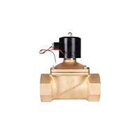 Électrovanne électrique en laiton normalement fermée de 2 à 1/2 pouces, for eau, pétrole et gaz(NPT_230VAC)