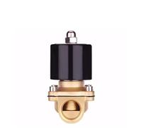 Électrovanne électrique en laiton normalement fermée DN8 DN10 DN15 DN20 DN25 N/Cic for eau, huile et Air 12V/24V/220V/110V(24 V-china,DN25)