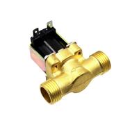 Électrovanne électrique en laiton normalement fermée pour le contrôle de l'eau (DC 24 V) 1/2" 1/2" DC 24 V AC 220 V CC 12 V