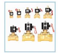 Électrovanne électrique pneumatique à gaz et eau, filetage femelle 220 V 24 V 12 V 2 voies 1/8 1/4 3/8 pouce, huile 2W-025-08K, type de fil N/O, 1 pièce(DN20,24V)