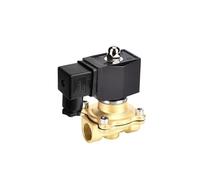 Électrovanne, Électrovanne en laiton normalement fermée IP65, bobine entièrement fermée, vanne de commutation 220, vanne d'eau, 3/8 "1/2" 3/4 "1" 1-1/4 "1-1/2" 2"(C,NPT_24)