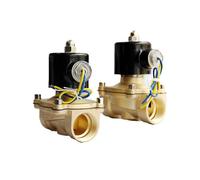Électrovanne, Électrovanne en laiton NPT BSP N/C 12v DN25 DN32, joint EPDM haute température, 1 pouce 1-1/4 pouce(DN25,NPT_230VAC)