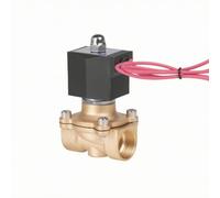 Électrovanne en Laiton Électrovanne Vanne Solénoïde Clapet Coupe Circuit Commande Automatique Boîtier Supérieur Résistant Temps de Réponse Rapide, DC24V, size to 2