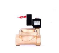 Électrovanne en laiton haute pression à économie d'énergie de 1-1/4 po, normalement fermée, à commande pilote, 24 h/24, sans fièvre, 220 V, 24 V, 12 V(220VAC-EPDM SEAL)