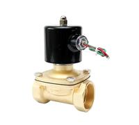 Électrovanne en laiton normalement fermée, 1-1/2 pouces, haute température, 110V, 220V, 24V, 12V, for eau, gaz, huile, avec joint EPDM, 1 pièce(NPT_220VAC)