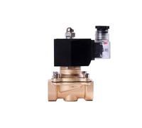 Électrovanne en laiton normalement fermée 1/2" série 2T, DN15, for gaz de pétrole liquéfié, gaz naturel, 220 V, 24 V, 12 V(NPT,220VAC)