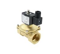 Électrovanne en laiton normalement fermée AC220V DC12V DC24V, avec bobine étanche DN10/15/20/25/32/40, vanne d'eau 1/2 "pour huile à Air(DN32,AC220V)