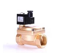 Électrovanne en laiton normalement fermée haute pression 1-1/2" 0927 1,6 Mpa, électrovanne pilotée 220 V 24 V 12 V(12VDC-VITON SEAL)