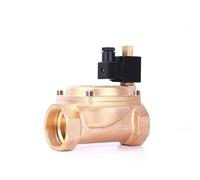 Électrovanne haute pression en laiton normalement ouverte 2 pouces, 1,6 Mpa, type pilote, vannes d'eau électriques 220 V, 110, 24, 12