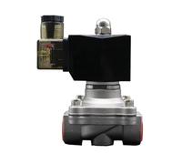 Électrovanne normalement fermée, 1/2", 3/4", 1", pression d'eau 0 à 1 MPa, AC 220 V/24 V, DC 12 V/24 V, acier inoxydable, étanche à l'humidité, NBR