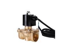 Électrovanne Normalement Fermée 1" DN25, Électrovanne De Fontaine En Laiton 110 V 24 V 12 V 24 V For Système Sous-marin(NPT_220VAC_NBR-SEAL)