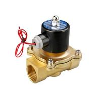 Électrovanne normalement fermée 2W160-15 2W200-20, vanne d'eau, vanne d'air, bobine en cuivre pur, AC220V DC24V 12V(2W160-15,DC12V)