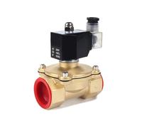 Électrovanne normalement fermée IP65, bobine entièrement, 220 V CA, 12 CC, 24, G3/8" G1/2" G3/4" G1" G1-1/4" G1-1/2"(DN20,110 Volt)