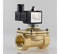 Électrovanne normalement fermée, vanne d'eau IP65, bobine entièrement fermée, 220 V CA, 12 V CC, 24 V CC, G3/8; G1/2; G3/4; G1; G1-1/4; G1-1/2; 1 pièce(220v,2 Inch)
