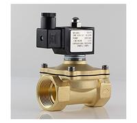 Électrovanne normalement fermée, vanne d'eau IP65, bobine entièrement fermée AC220V DC12V DC24V G3/8 "G1/2" G3/4 "G1 G1-1/4 G1-1/2(220v,2 Inch)