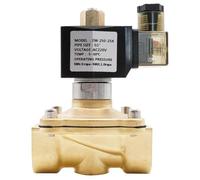 Électrovanne normalement ouverte en laiton G3/8" à G2 NBR EPDM VITON Joint AC220V DC12V 24V IP65 Vanne d'eau résistante aux hautes températures(AC 24V-VITON)